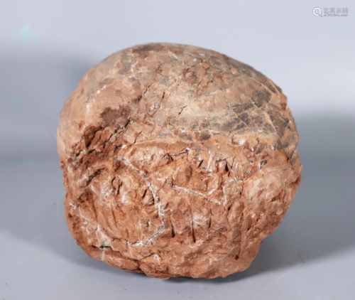 Dinosaur Egg Fossilized