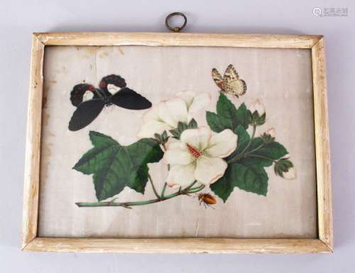 A GOOD 19TH CENTURY CHINESE BOTANICAL RICE PAPER PAINTING - FRAMED, depicting butterflies amongst