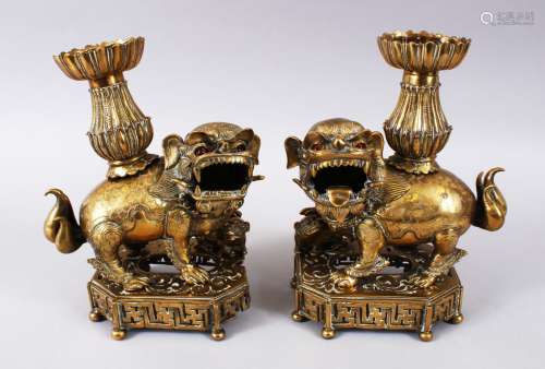 A PAIR OF 19TH / 20TH CENTURY CHINESE BRONZE CANDLESTICKS IN THE FORM OF LION DOGS, the pair of dogs