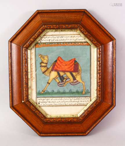 A GOOD 18TH / 19TH CENTURY FRAMED INDIAN MUGHAL / PERSIAN PAINTING OF A CAMEL, the camel painted