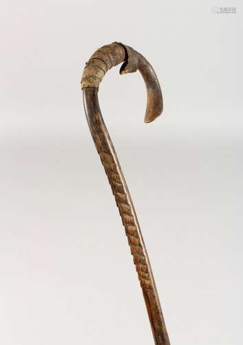 A SMALL WALKING CANE, possibly palmwood. 32ins long.