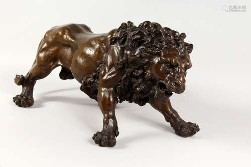 A GOOD LARGE CAST BRONZE FIGURE OF A SNARLING MALE LION. 25ins long.