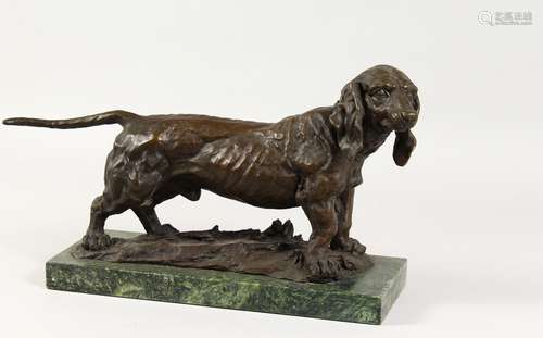 A CAST BRONZE MODEL OF A DACHSHUND, on a rectangular marble base. 18ins long.