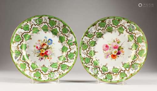 A PAIR OF BOTANICAL PLATES, with pierced sides and fruiting vines. 9ins diameter.