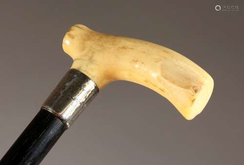 A VICTORIAN IVORY HANDLED WALKING STICK with silver band.