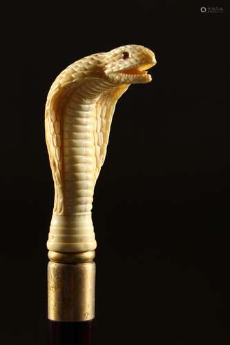 A BONE HANDLE WALKING STICK, carved as a cobra. 36ins long.