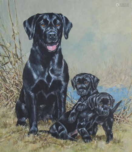 Roger Cruwys (B. 1938) Black Labrador Retri…