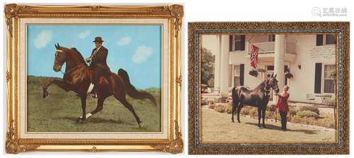 2 Vintage TN Walking Horse Photographs