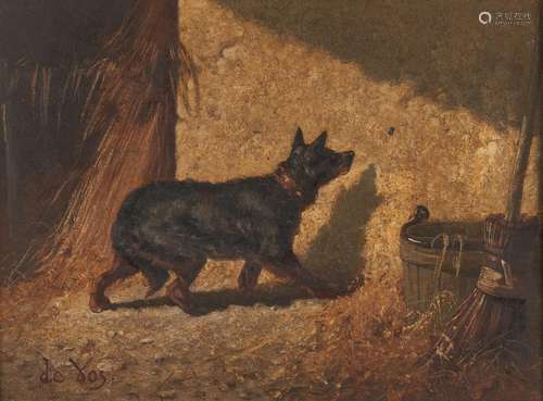 Vincent de Vos O/P, Dog With Insect