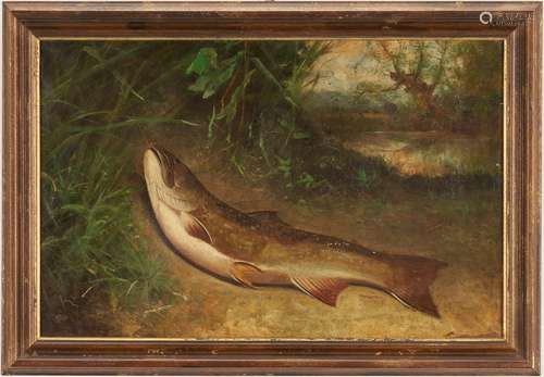 American School O/C, Portrait of a Fish