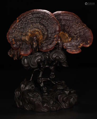 A ZITAN WOOD CARVED GANODERMA