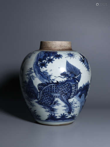 A Chinese Blue and White phoenix&kylin Painted Porcelain Vase