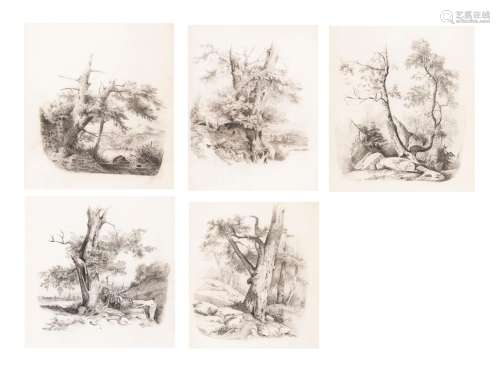 Anonymes XIXe. Ensemble de 5 dessins au crayon d'études de troncs d'arbres dans le [...]