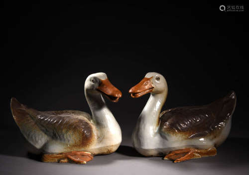 A Pair of Chinese Porcelain Ducks Ornaments