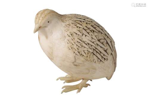 FINE JAPANESE CARVED IVORY QUAIL, MEIJI PERIOD