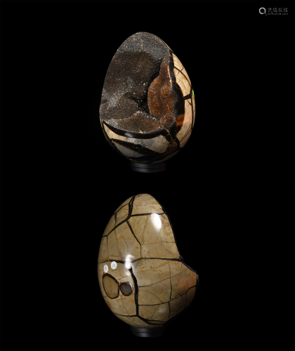 Polished Large Septarian Egg with Expos…
