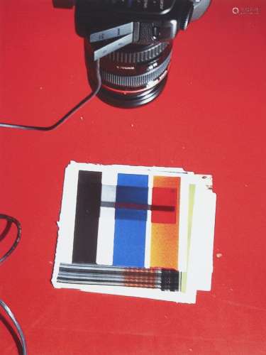 Wade Guyton, American b.1972- IMG_1919.JPG, 2013; digital c-print in colours on wove, signed,