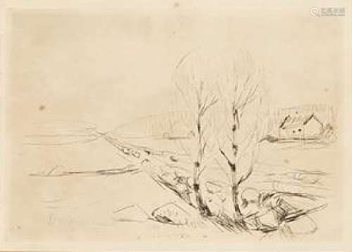 Edvard Munch, Norwegian 1863-1944- Norwegian Landscape [Schrefler 268], 1908; drypoint etching on