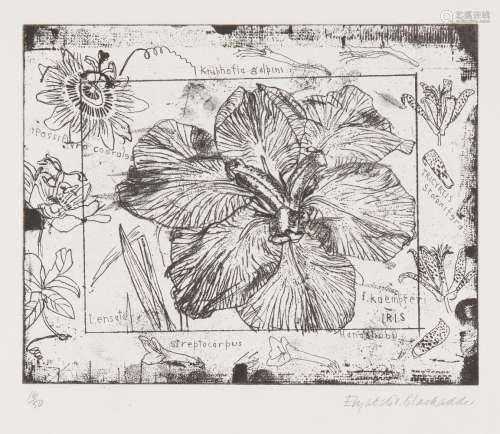 Dame Elizabeth Blackadder DBE RA RSA, British b.1931- Iris, 1986; etching on wove, signed and