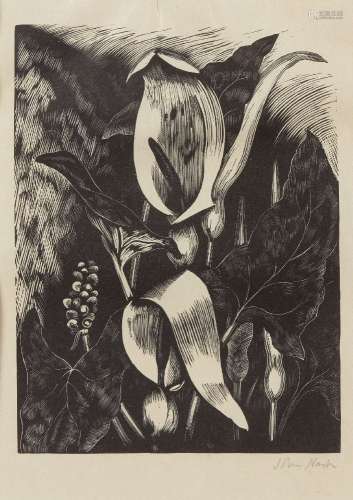 John Nash CBE RA, British 1893-1977- Untitled (flower study); wood engraving on wove, signed in
