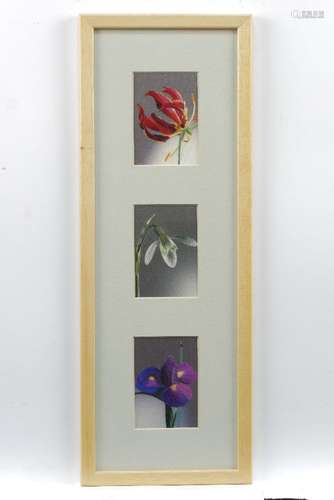 A collection of six framed sets of silk embroidered still life pictures, each frame containing three