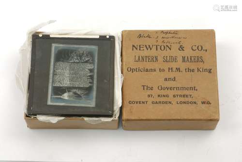 A box of glass slides by Newton & Co., depicting subjects by William Blake (1757-1827), each slide