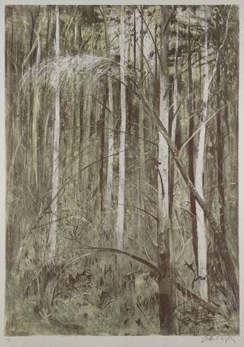 Arthur Boyd AC OBE, Australian 1920-1999- Suffolk Woods, 1981; lithograph in colours on wove, signed