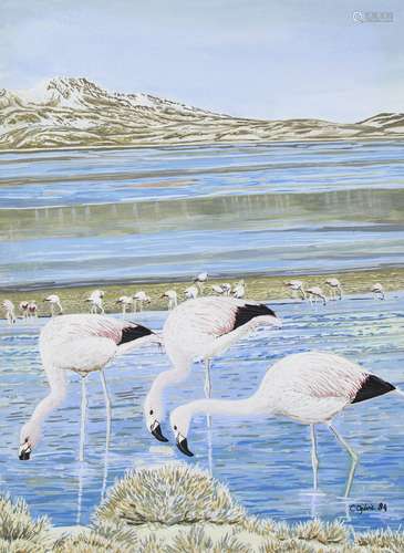 Carol Ogilvie, British, mid-late 20th century- Chilean Flamingos, Greater Flamingos, Lesser