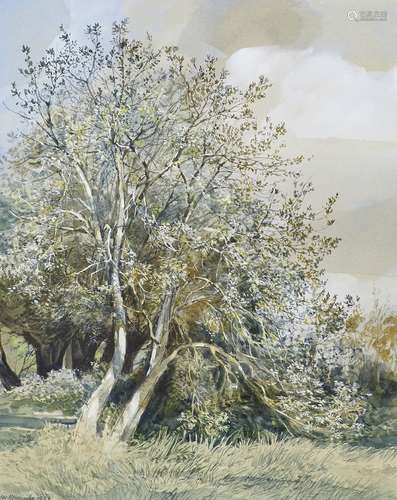 Peter Newcombe, British b.1946- Leakhampstead Woods, watercolour, signed and dated 1989, 25x31cm: