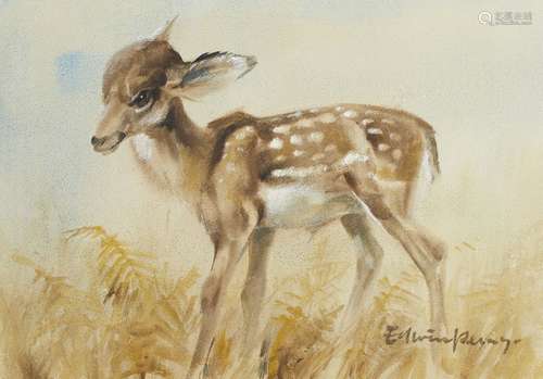 Edwin Penny, British 1930-2016- Young Fawn; watercolour, signed and bears inscription on the