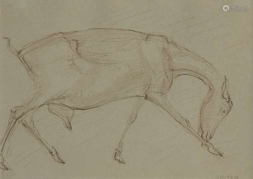 Georg Ehrlich, Austrian/British 1897-1966- Study of a goat; pen and brown ink on grey coloured