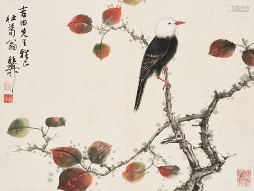 Xie Zhiliu (1910-1997)  Chinese Bulbul on Maple Tree