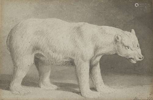 Samuel Howitt (Nottinghamshire 1756-1822 London) A polar bear