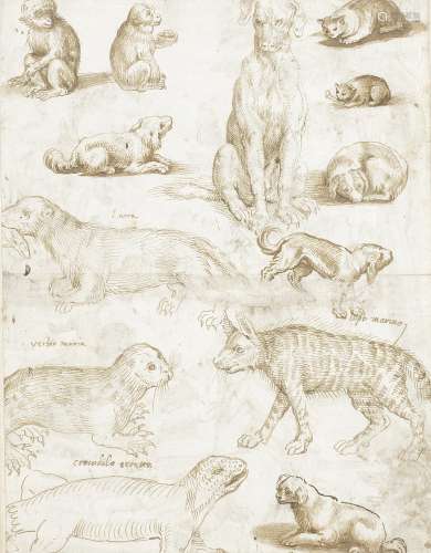 Circle of Antonio Tempesta (Florence 1555-1630 Rome) Studies of animals, including an otter, dogs...