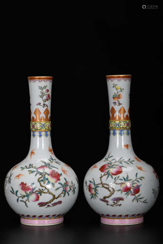 A Chinese Enamel Porcelain Flask