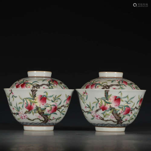 A Pair of Chinese Famille Rose Porcelain Bowl with Cover