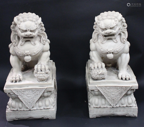 A Pair of Chinese Foo Lion Display