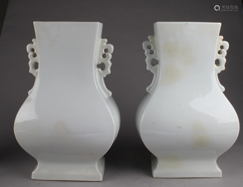 A Pair of Chinese Porcelain Vases