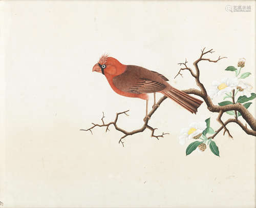 Seven export paintings of exotic birds (19th century) Gouache on paper, variously perched on fruiting and flowering branches, or on grassy hillsides beside flowering plants, framed and glazed.