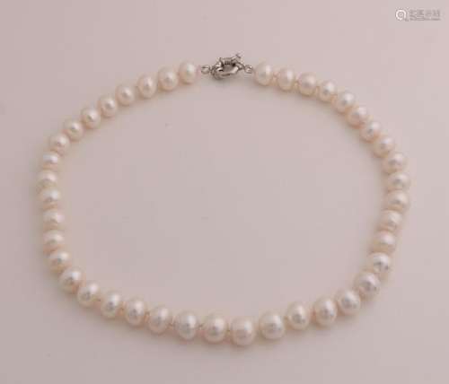 Freshwater pearl necklace