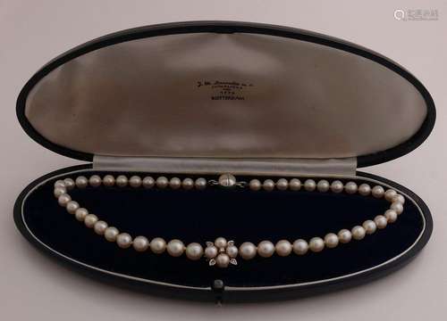 Choker of cultured pearls with white gold