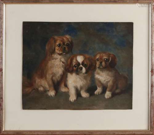 HM Krabbé, Three Pekinese dogs