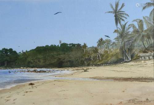 Robert Nunan, Baaij with house and palms