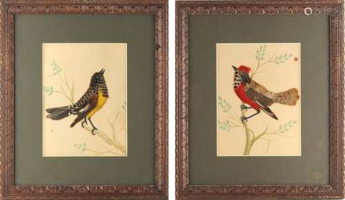 Property of a gentleman - a pair of bird feather & watercolour pictures of birds on branches, each