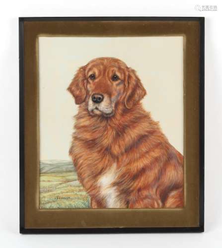 Property of a deceased estate - K.C. Brown (fl.1937-62) - PORTRAIT OF A RETRIEVER - watercolour,