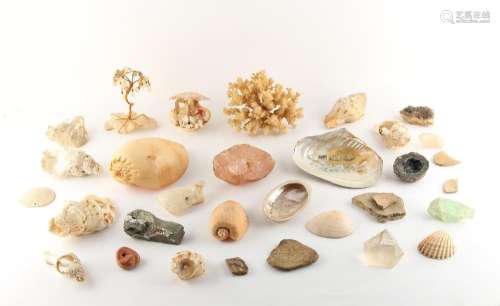 Property of a gentleman - a quantity of assorted mineral specimens & seashells, etc. (a lot).