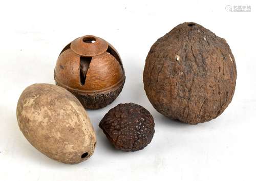 Two Brazil nuts, (one turned on a lathe), a bread fruit and a coconut (4).