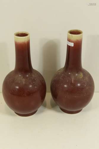 Paire de vases en porcelaine de Chine 