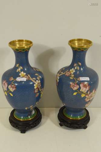 Paire de vases en cloisonné, Chine 20ème (Ht 24cm)