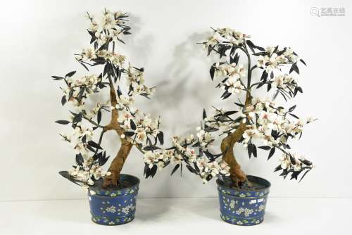 Lot de deux cache-pot avec plantes, Chine (68cm et 62cm)